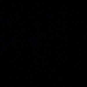 Meet your Posher, Renny